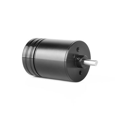 7 cặp cực vượt trội hơn 234g Động cơ DC không chổi than dưới nước nhà cung cấp